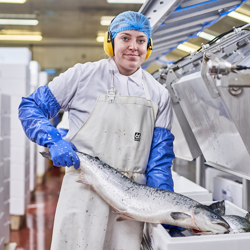 Staff at fish processing plant holding whole salmon